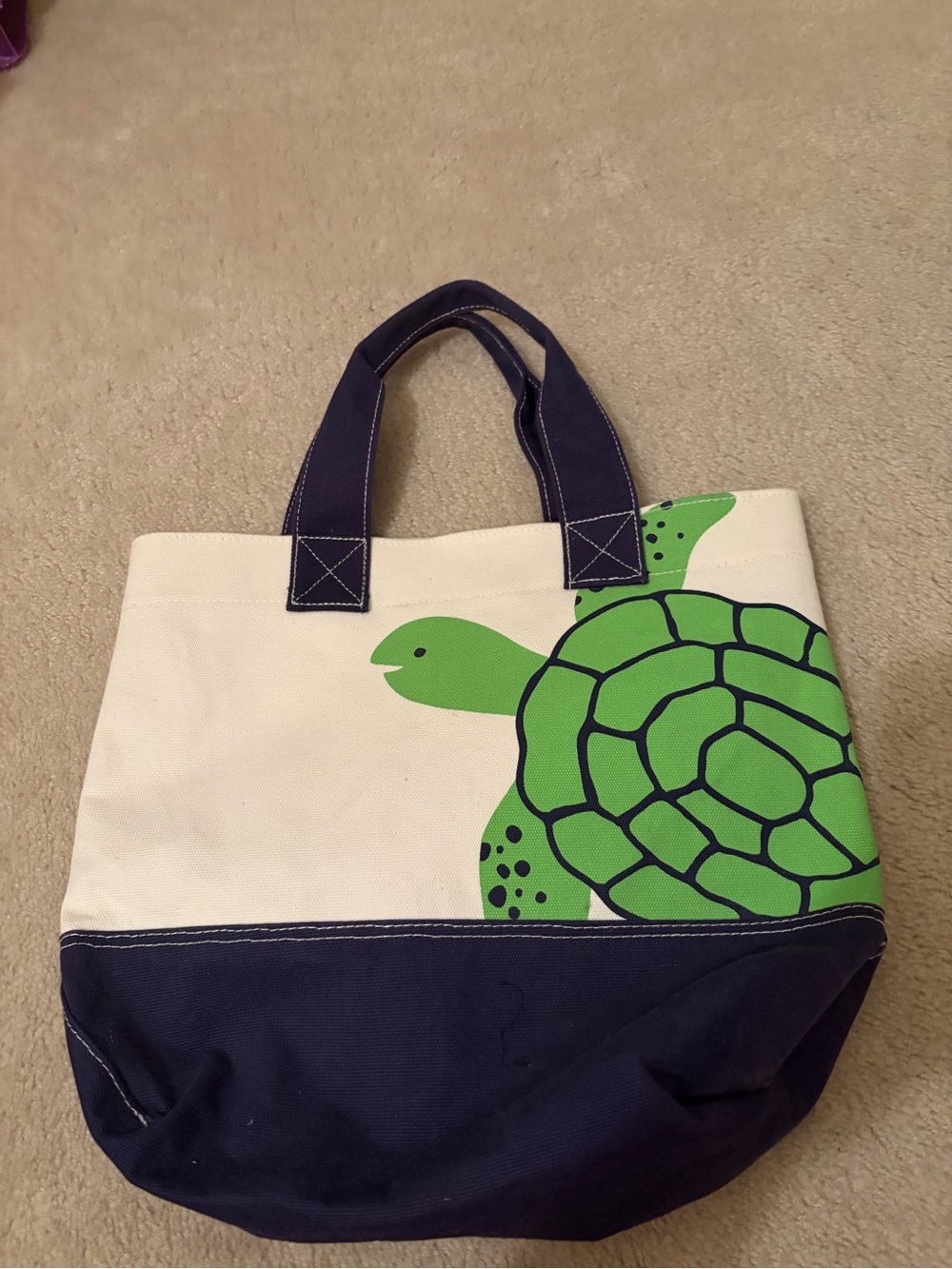 Pottery Barn Kids Canvas Turtle Tote Bag